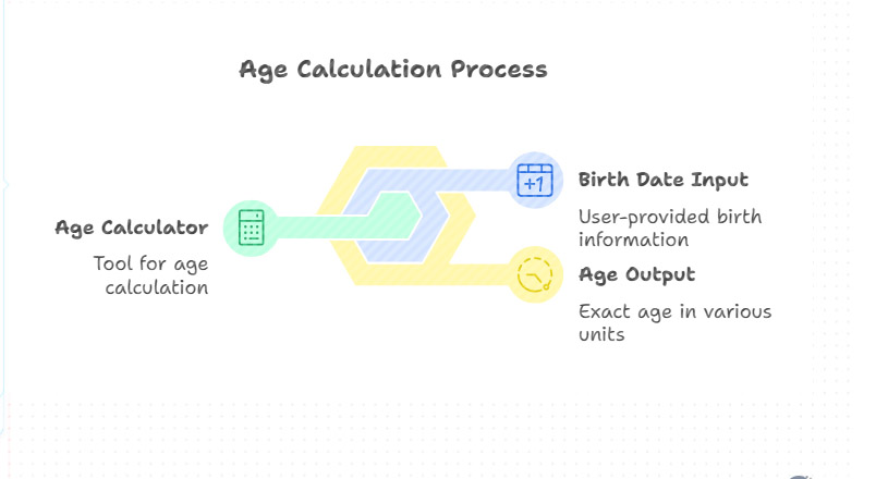 Age Calculator